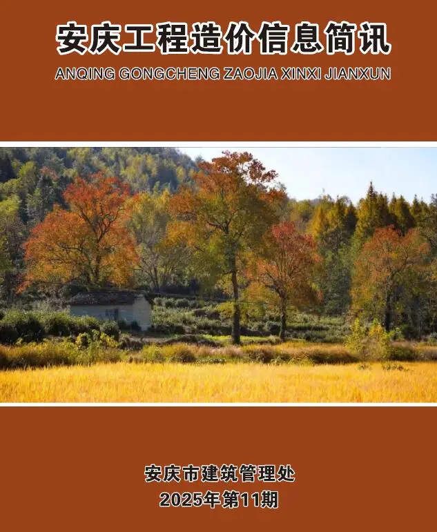 造价库安庆市2025年11月信息价期刊电子版PDF封面