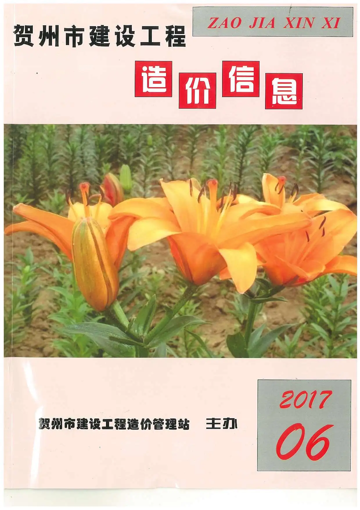 造价库贺州市2017年6月信息价期刊电子版PDF封面